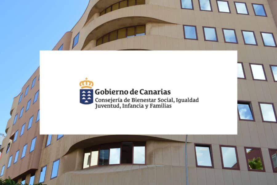 proyecto-servicio-de-apoyo-puntual-nos-lo-financian-plena-inclusi-n