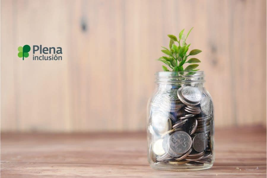 Importancia de Plena inclusión en el PIB español